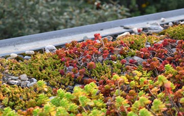 the cost of Tetney green roof installation