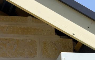 soffit repair Tetney