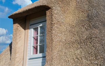 Tetney thatch roof disadvantages
