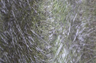 Tetney fibreglass roof work